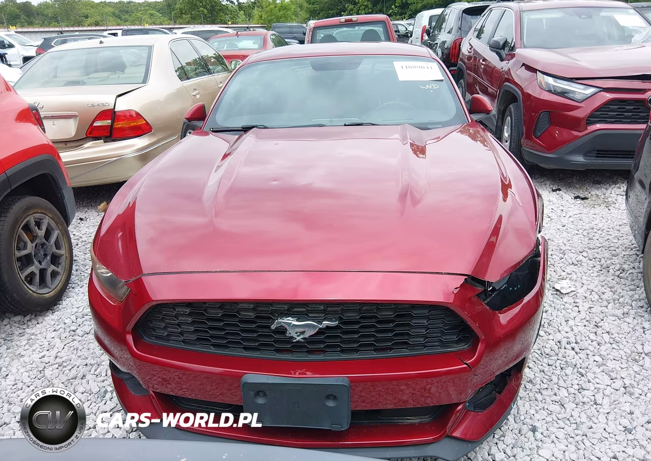 2015 Ford Mustang Ecoboost VIN:1FA6P8TH5F5346861 - 12