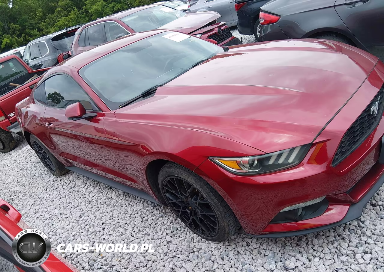2015 Ford Mustang Ecoboost VIN:1FA6P8TH5F5346861 - 13