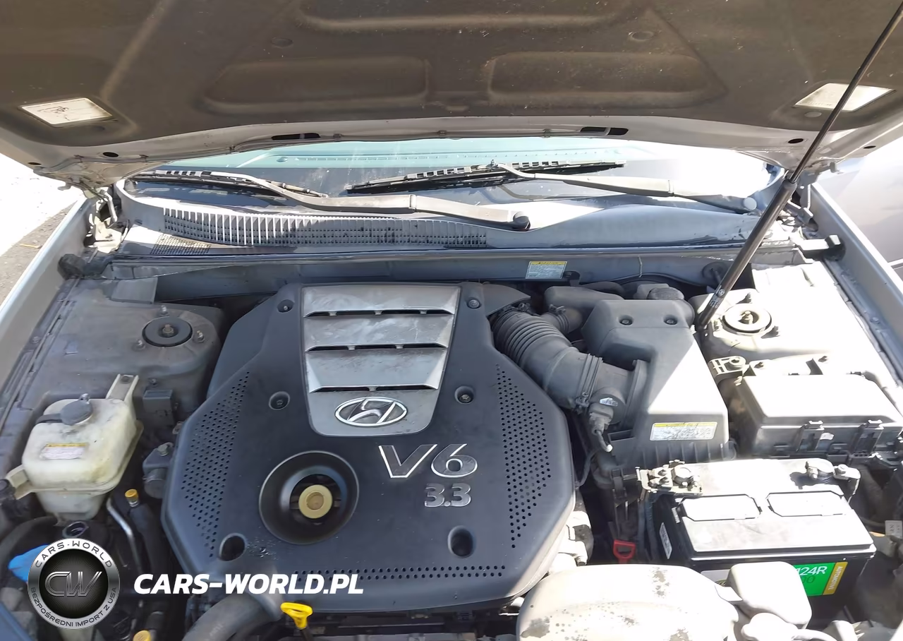 2006 Hyundai Sonata Gls V6-Lx V6 VIN:5NPEU46FX6H019289 - 10