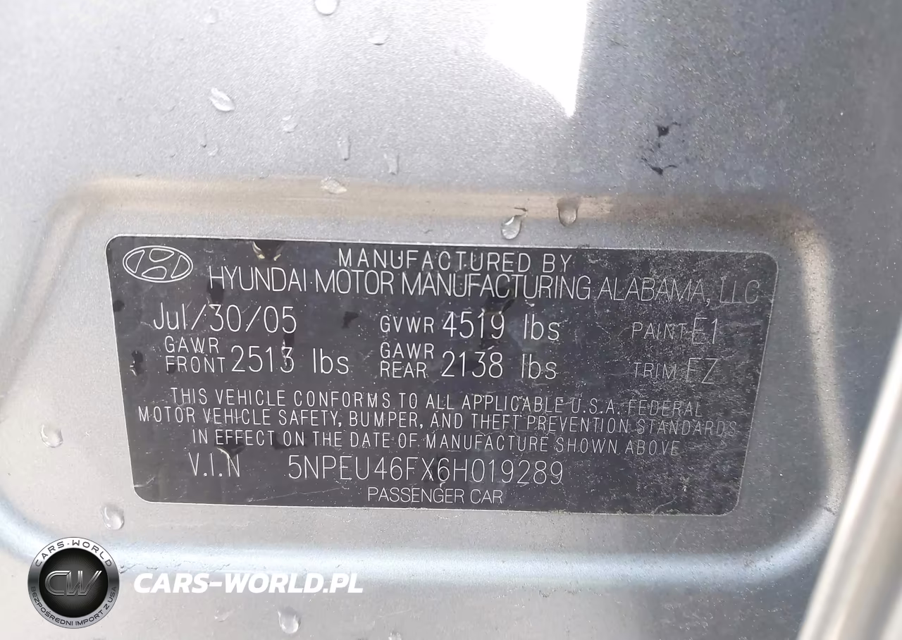 2006 Hyundai Sonata Gls V6-Lx V6 VIN:5NPEU46FX6H019289 - 9