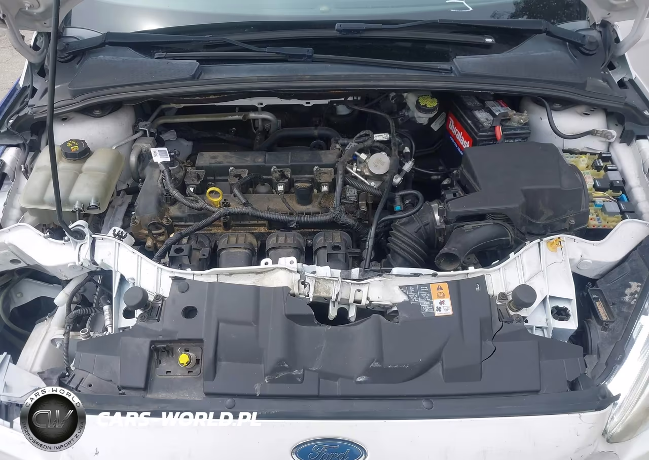 2016 Ford Focus Titanium VIN:1FADP3N24GL345989 - 10