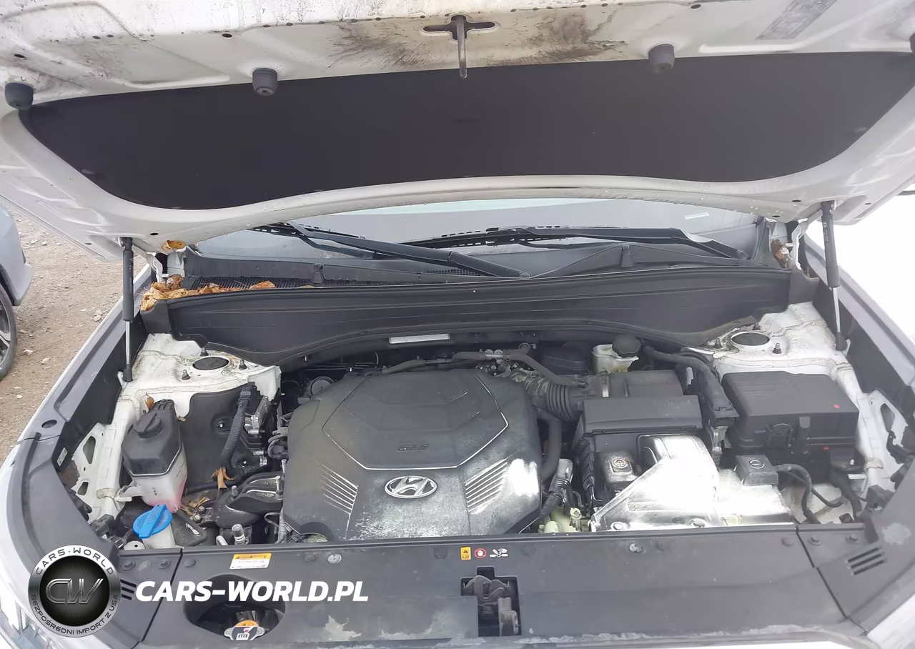 2021 Hyundai Palisade Sel VIN:KM8R4DHE5MU335445 - 10