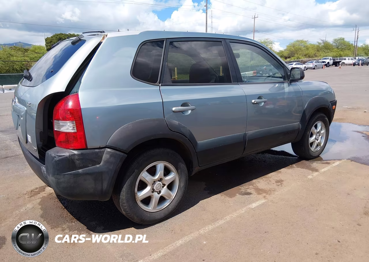 2005 Hyundai Tucson Gls-Lx VIN:KM8JN72D95U096799 - 4