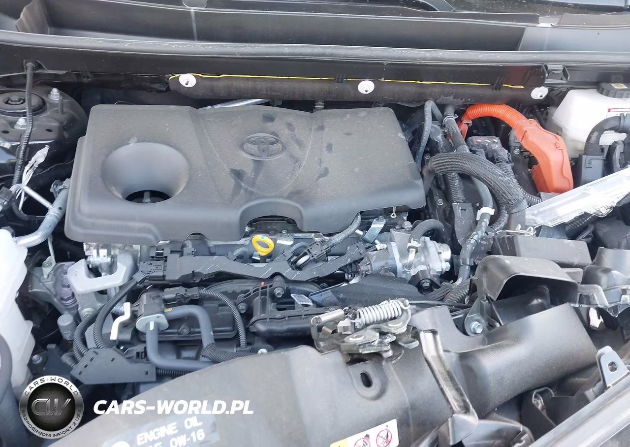 2025 Toyota Rav4 Hybrid Xle VIN:JTMRWRFV6SJ062254 - 10