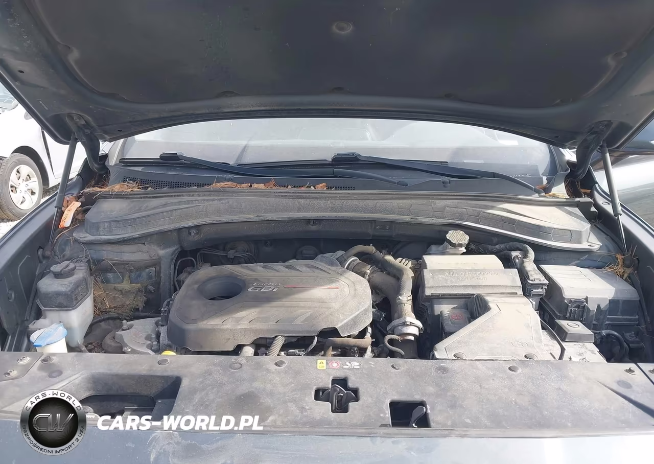 2019 Hyundai Santa Fe Limited 2.0T VIN:5NMS5CAA5KH069403 - 10