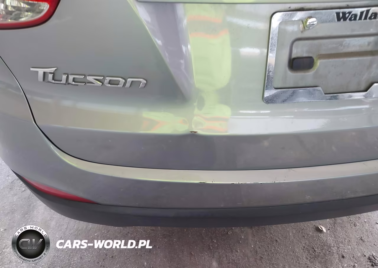 2015 Hyundai Tucson Gls VIN:KM8JT3AF9FU007915 - 15