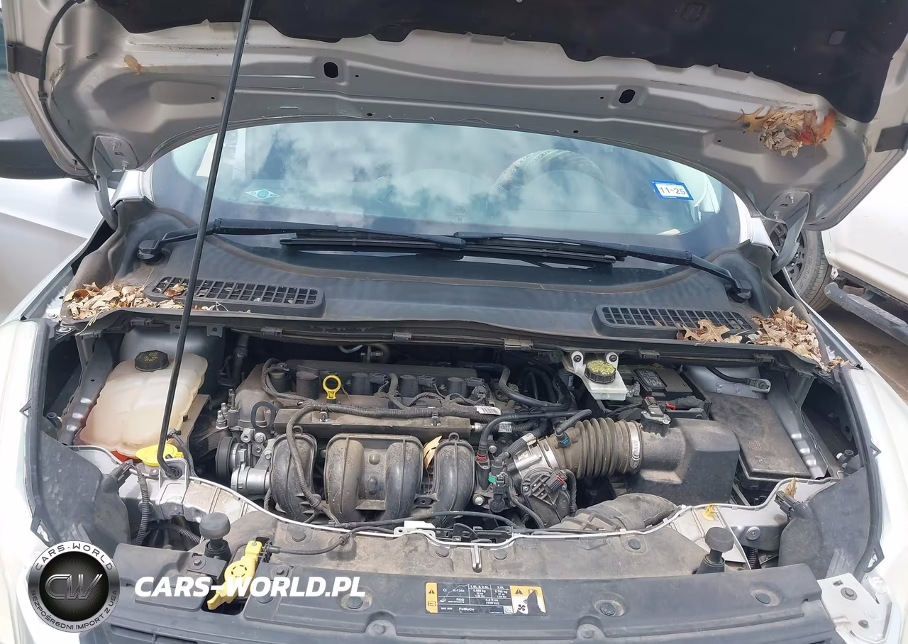2014 Ford Escape S VIN:1FMCU0F70EUD00929 - 10
