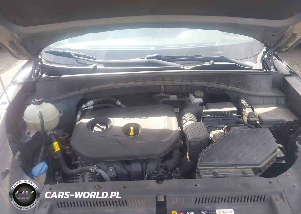 2019 Hyundai Tucson Value VIN:KM8J3CA40KU911421 - 10