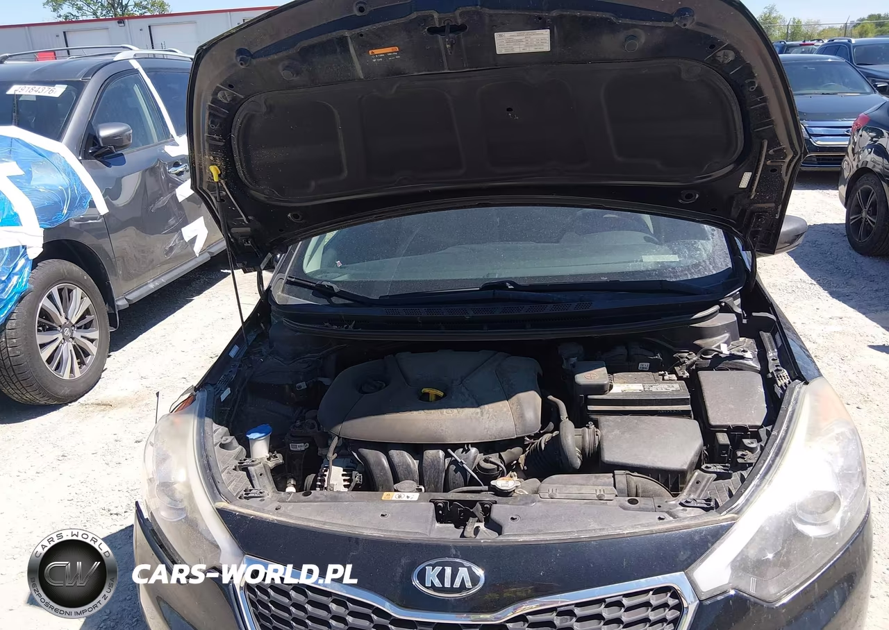 2016 Kia Forte Lx VIN:KNAFK4A64G5531002 - 10