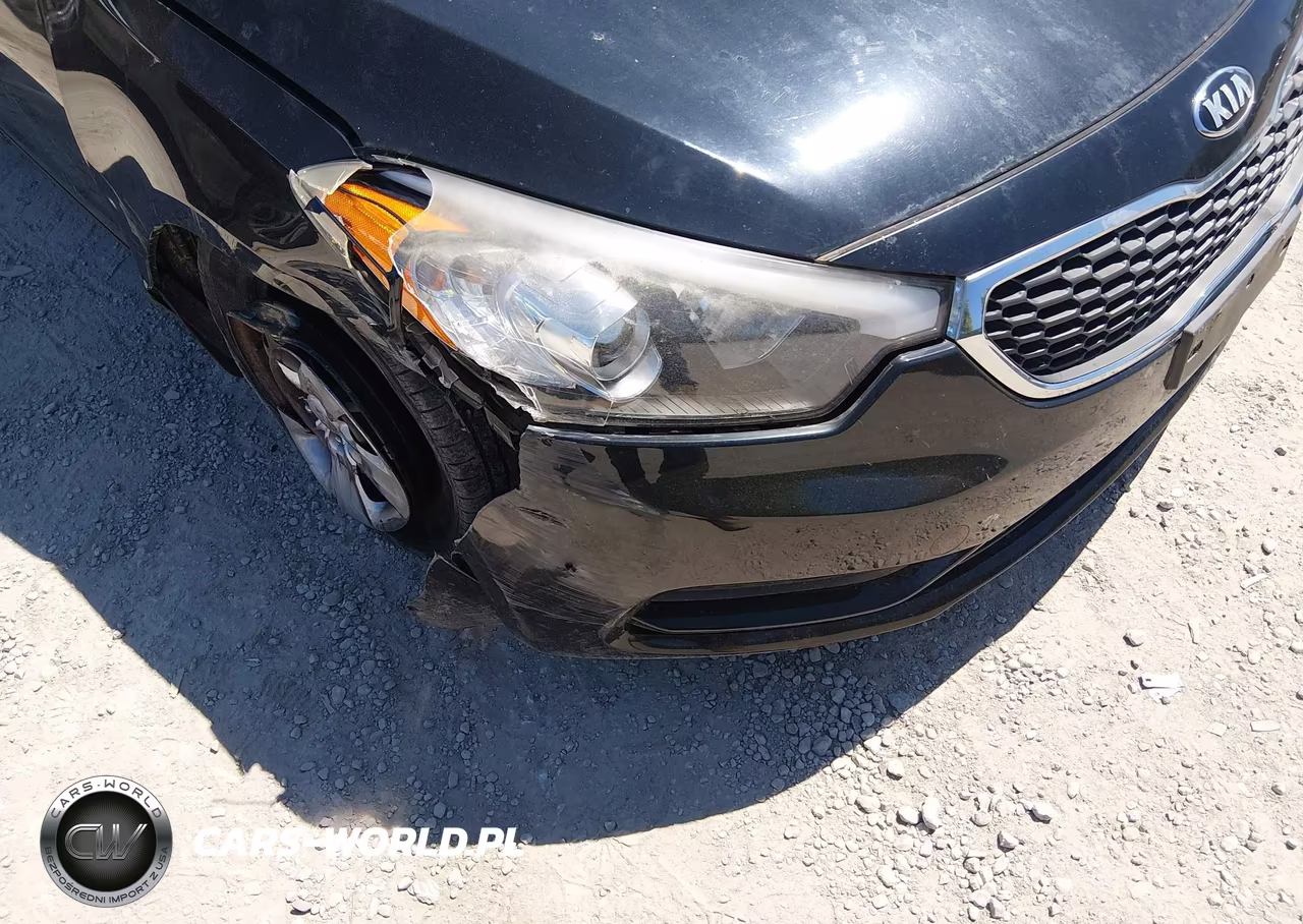 2016 Kia Forte Lx VIN:KNAFK4A64G5531002 - 12