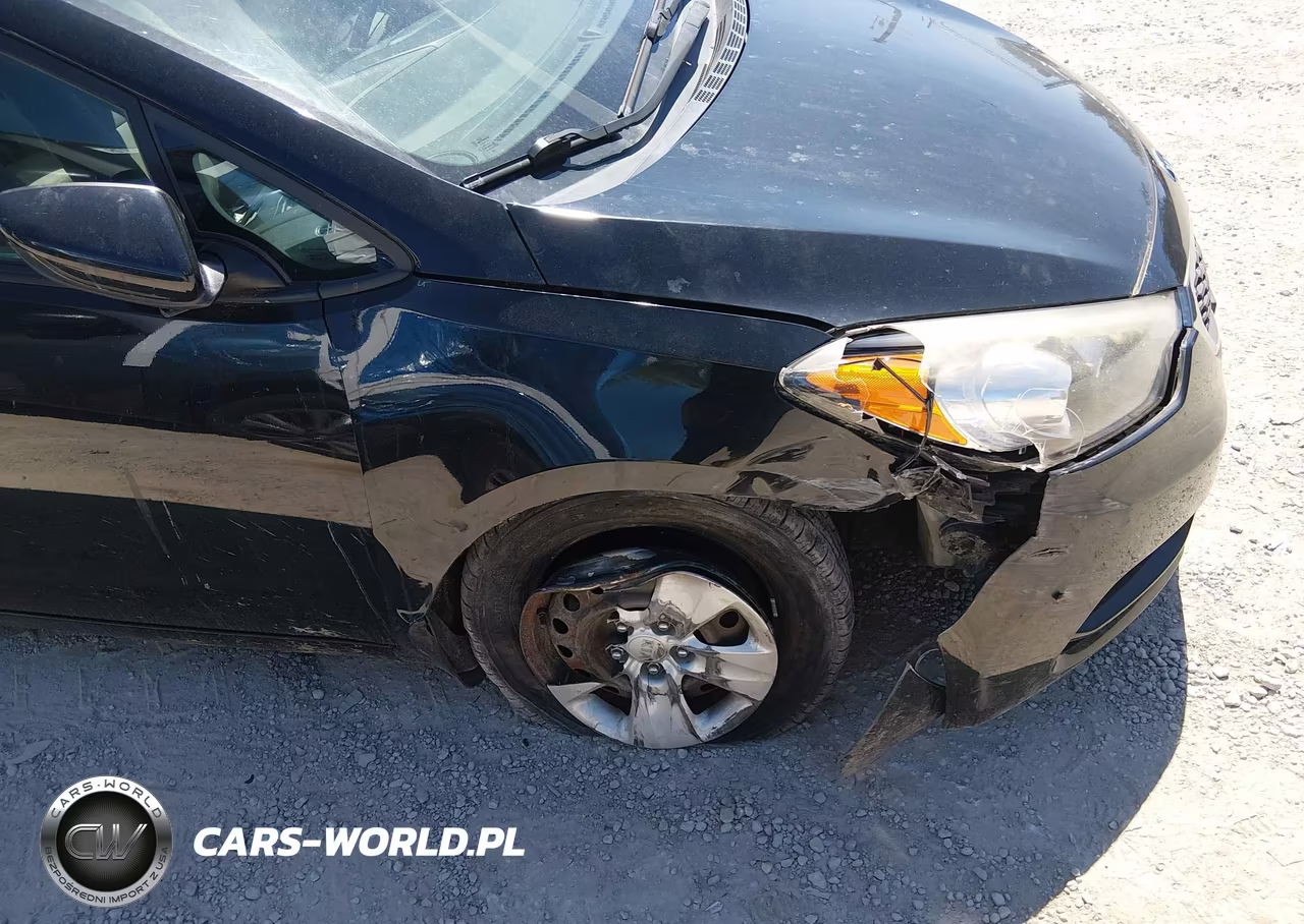 2016 Kia Forte Lx VIN:KNAFK4A64G5531002 - 6