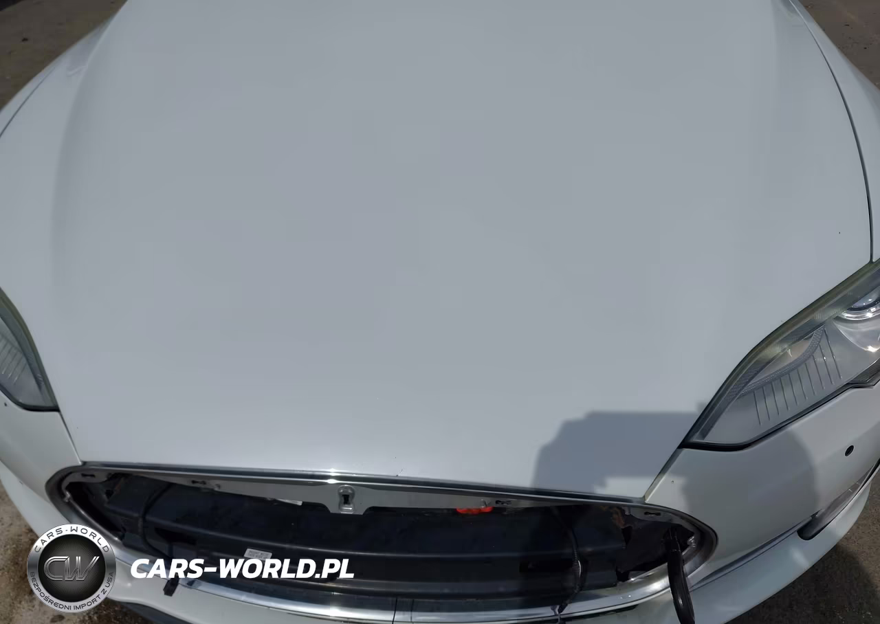 2014 Tesla Model S P85 VIN:5YJSA1H12EFP36181 - 10