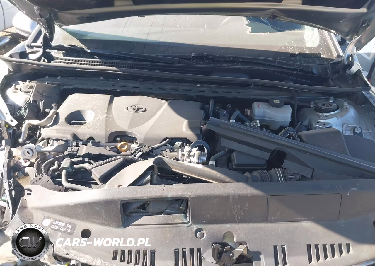 2021 Toyota Camry Xle Hybrid VIN:4T1F31AK9MU561217 - 10