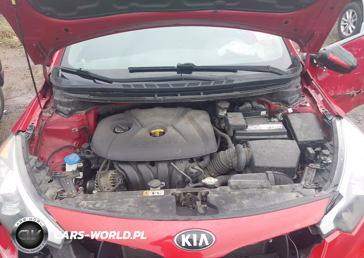2016 Kia Forte Lx VIN:KNAFK4A64G5502681 - 10