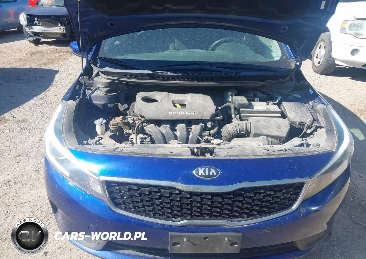 2018 Kia Forte Lx VIN:3KPFL4A71JE174771 - 10