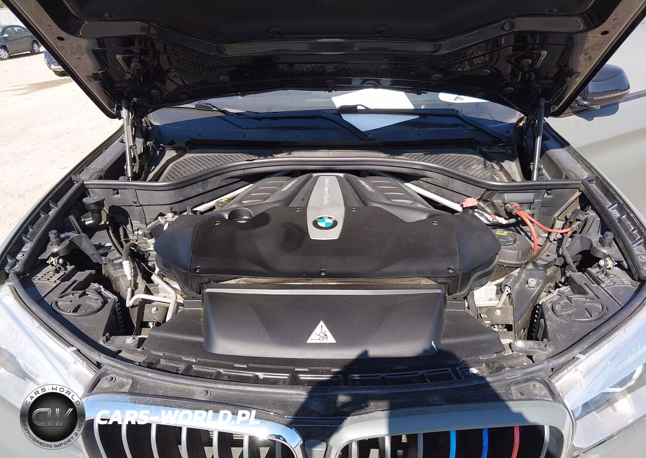 2016 BMW X6 VIN:5UXKU6C58G0R33953 - 10
