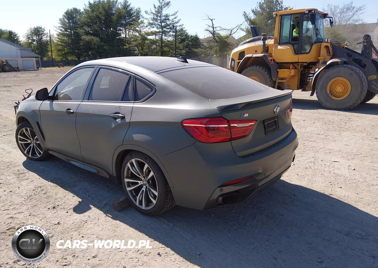 2016 BMW X6 VIN:5UXKU6C58G0R33953 - 3