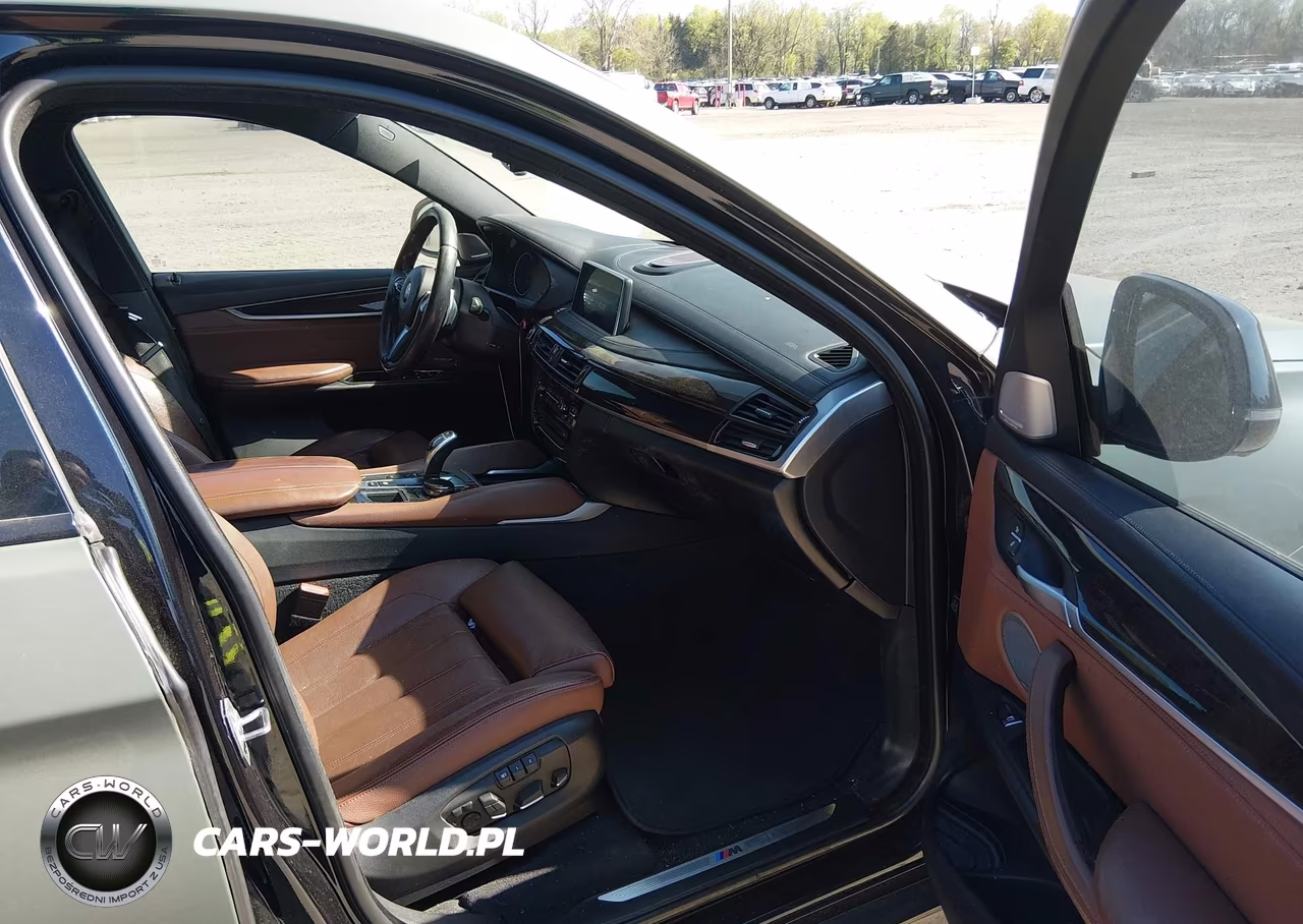 2016 BMW X6 VIN:5UXKU6C58G0R33953 - 5