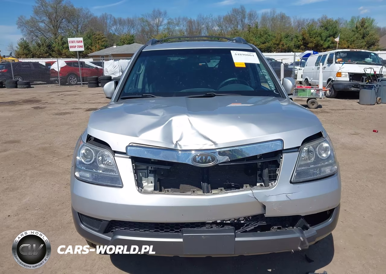 2009 Kia Borrego Lx V6 VIN:KNDJH741995011653 - 13