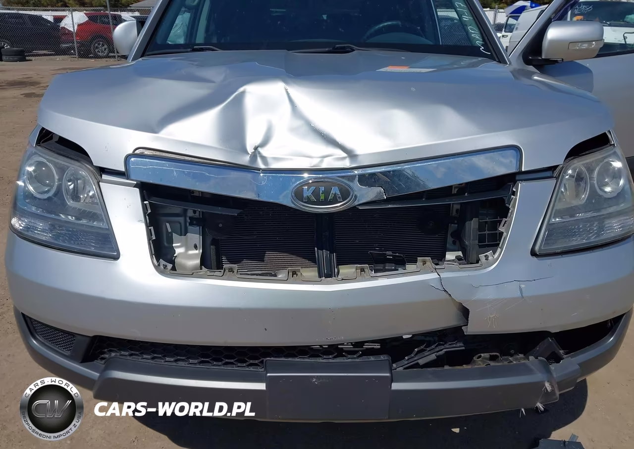 2009 Kia Borrego Lx V6 VIN:KNDJH741995011653 - 6