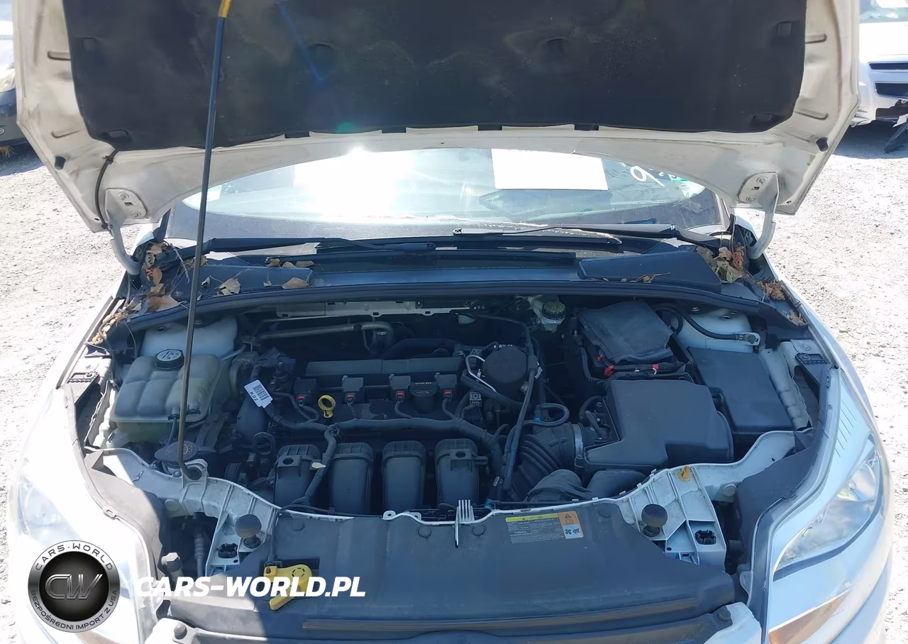 2013 Ford Focus Se VIN:1FADP3F27DL152956 - 10