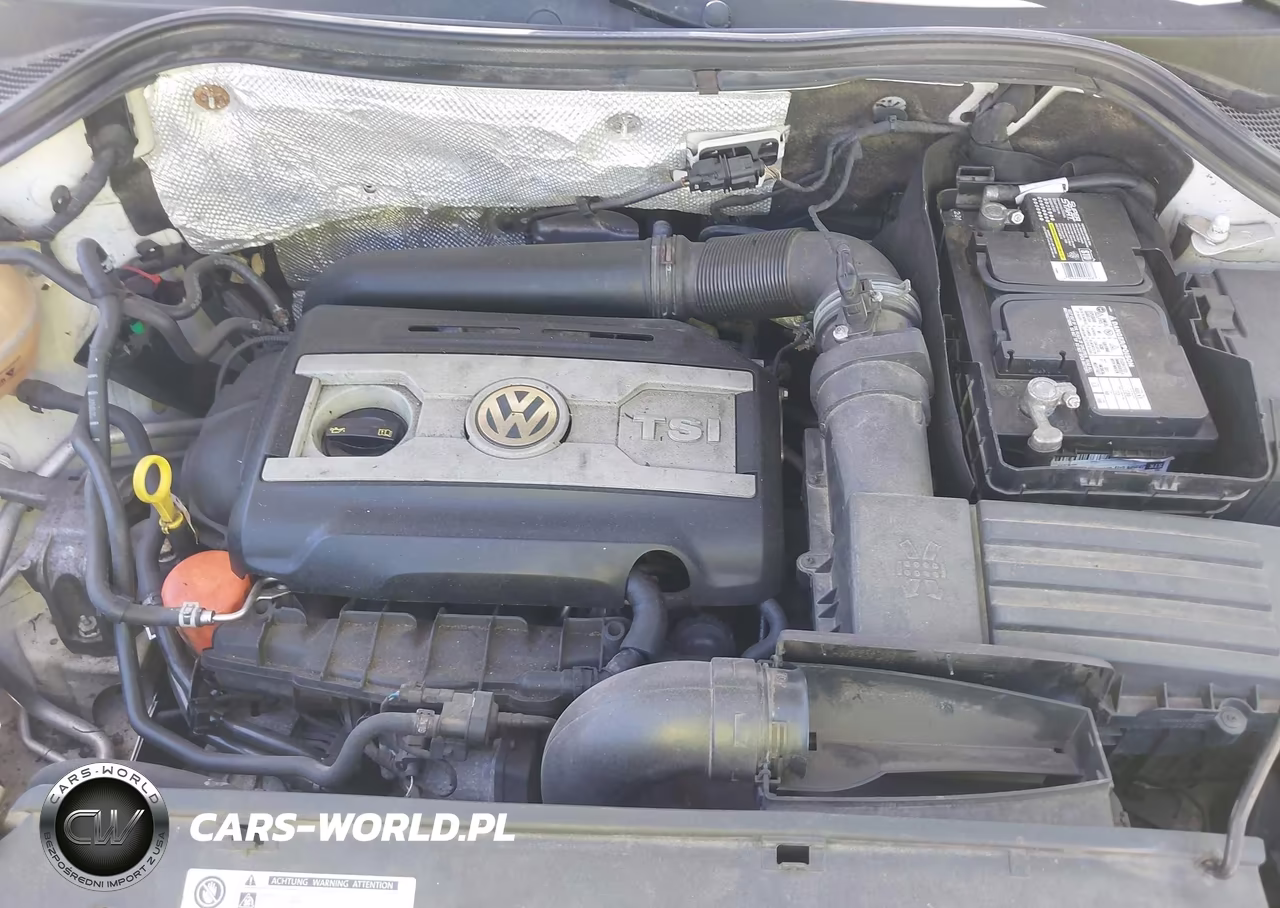 2009 Volkswagen Tiguan S-Se-Sel VIN:WVGAV75N09W500054 - 10