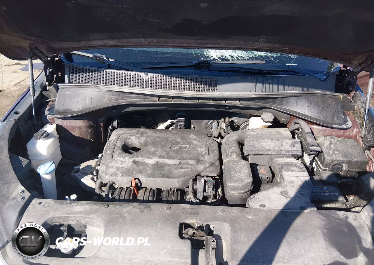 2018 Kia Sorento 2.4L Lx VIN:5XYPGDA31JG402163 - 10