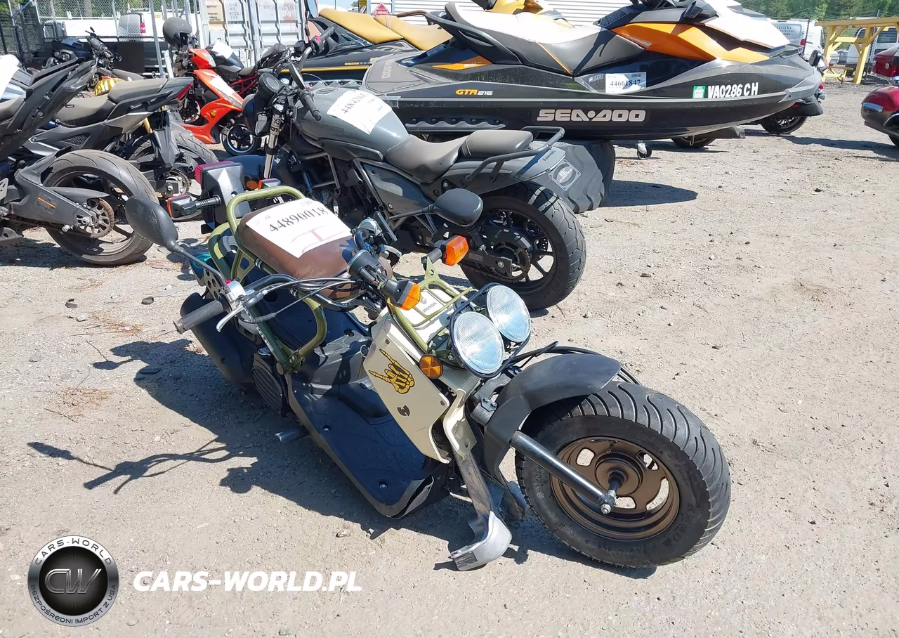 2024 Honda Nps50