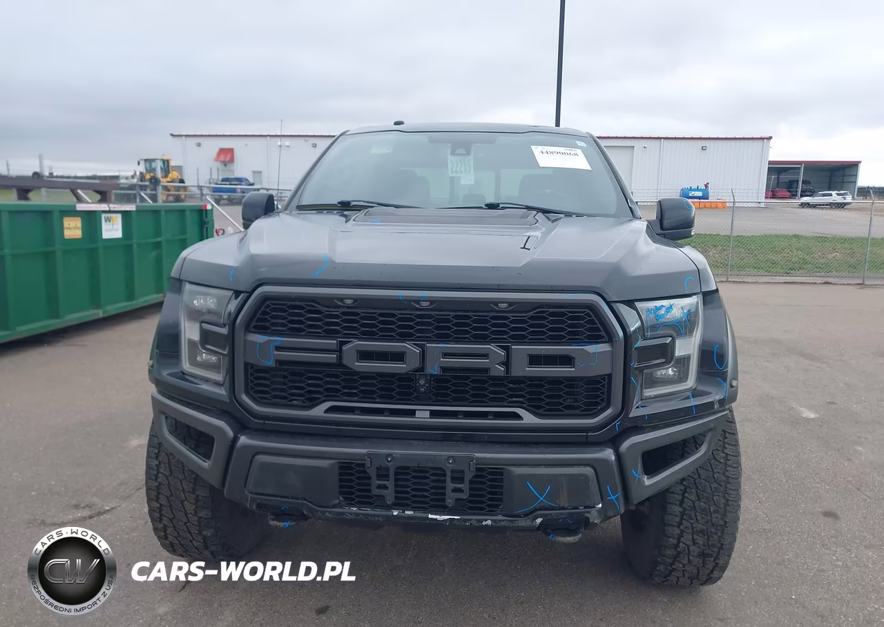 2018 Ford F-150 Raptor VIN:1FTFW1RG1JFC45354 - 12