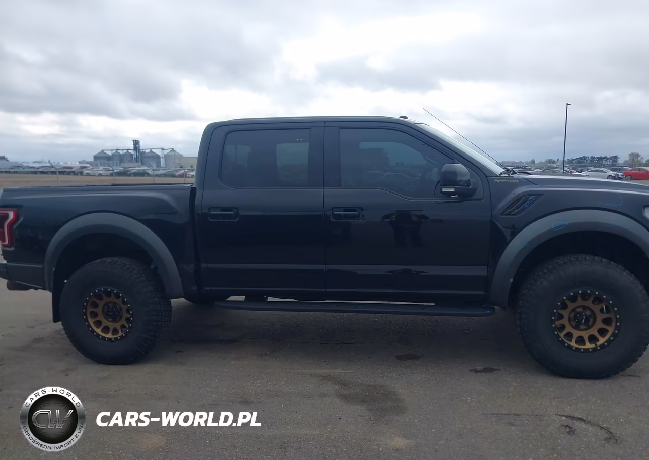 2018 Ford F-150 Raptor VIN:1FTFW1RG1JFC45354 - 13