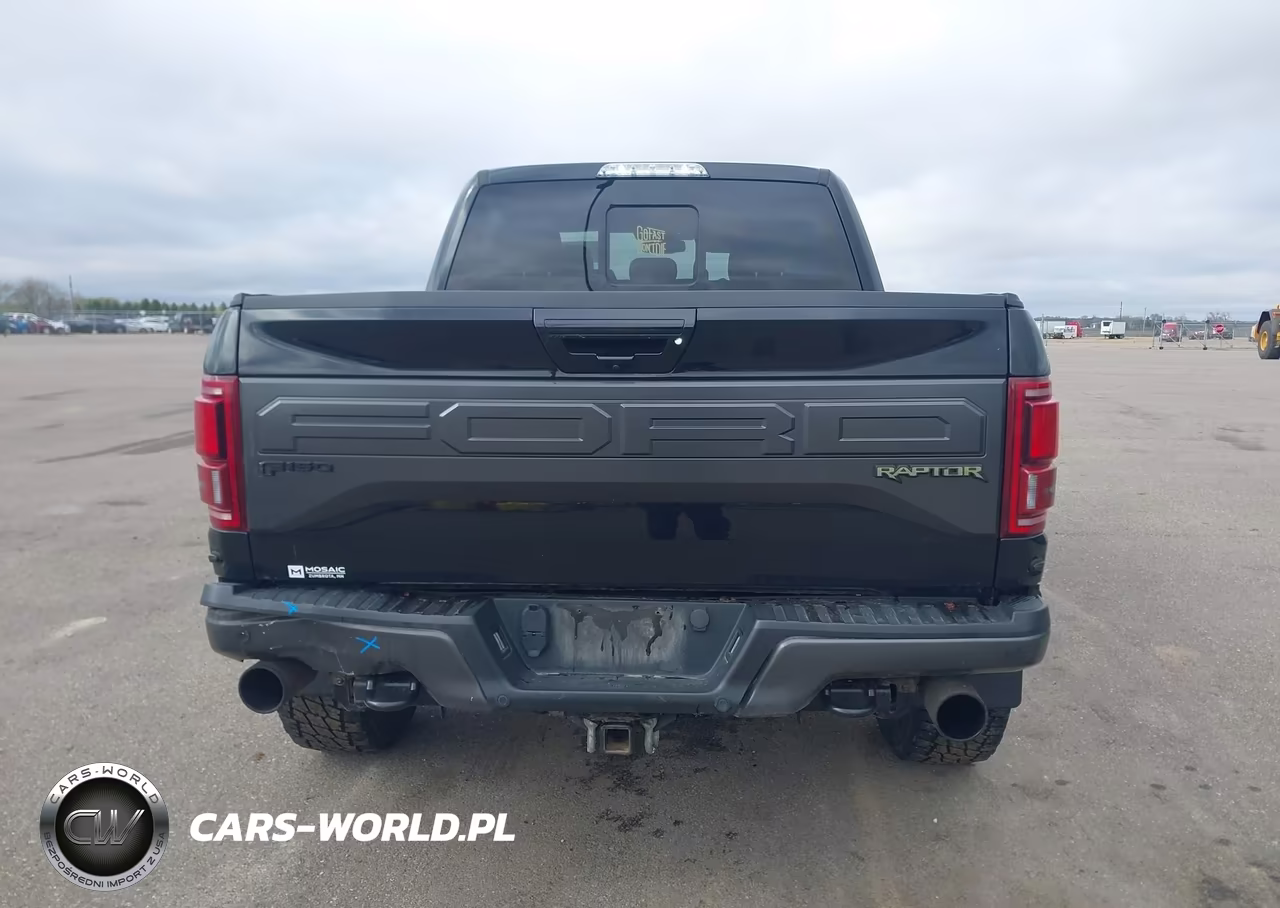 2018 Ford F-150 Raptor VIN:1FTFW1RG1JFC45354 - 16
