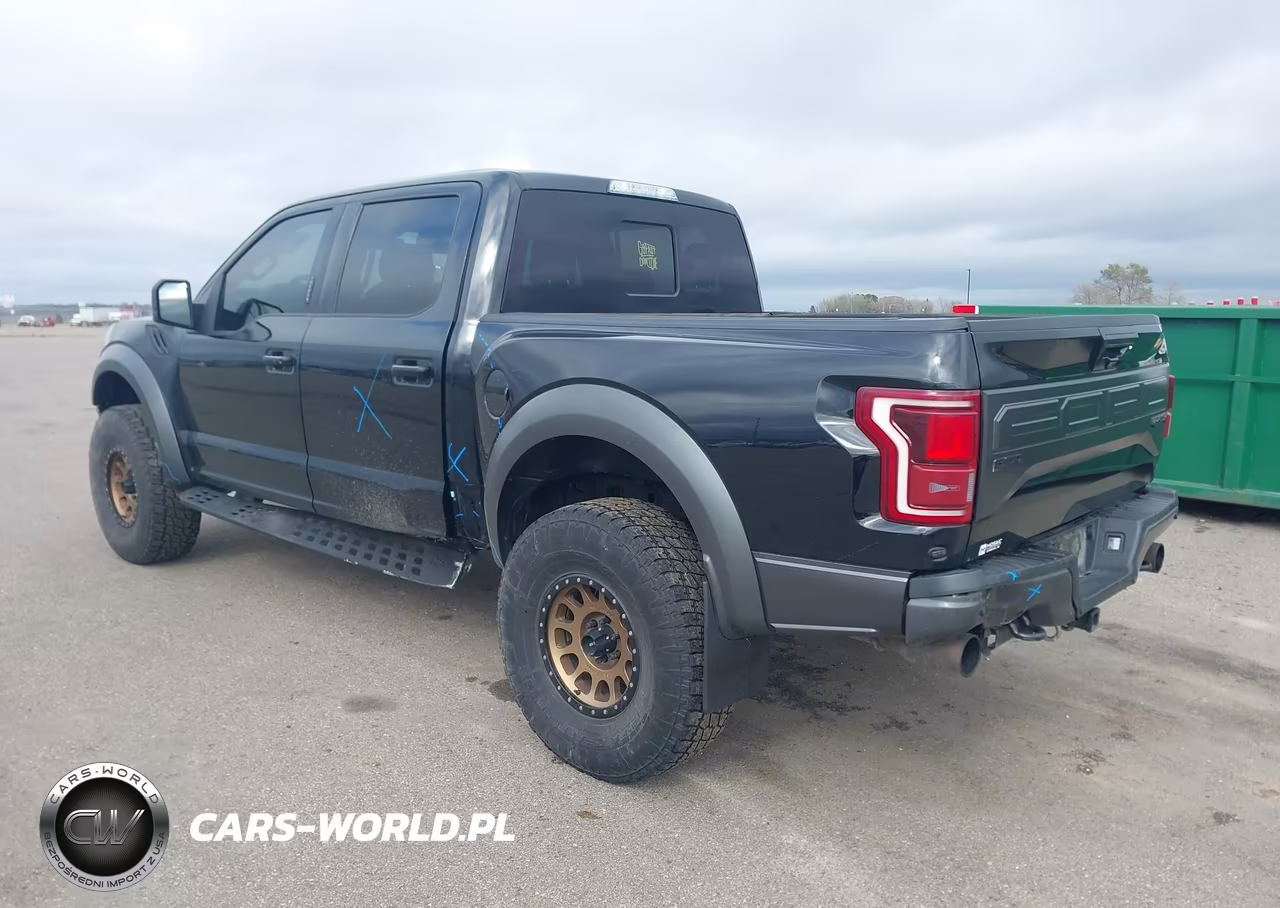 2018 Ford F-150 Raptor VIN:1FTFW1RG1JFC45354 - 3