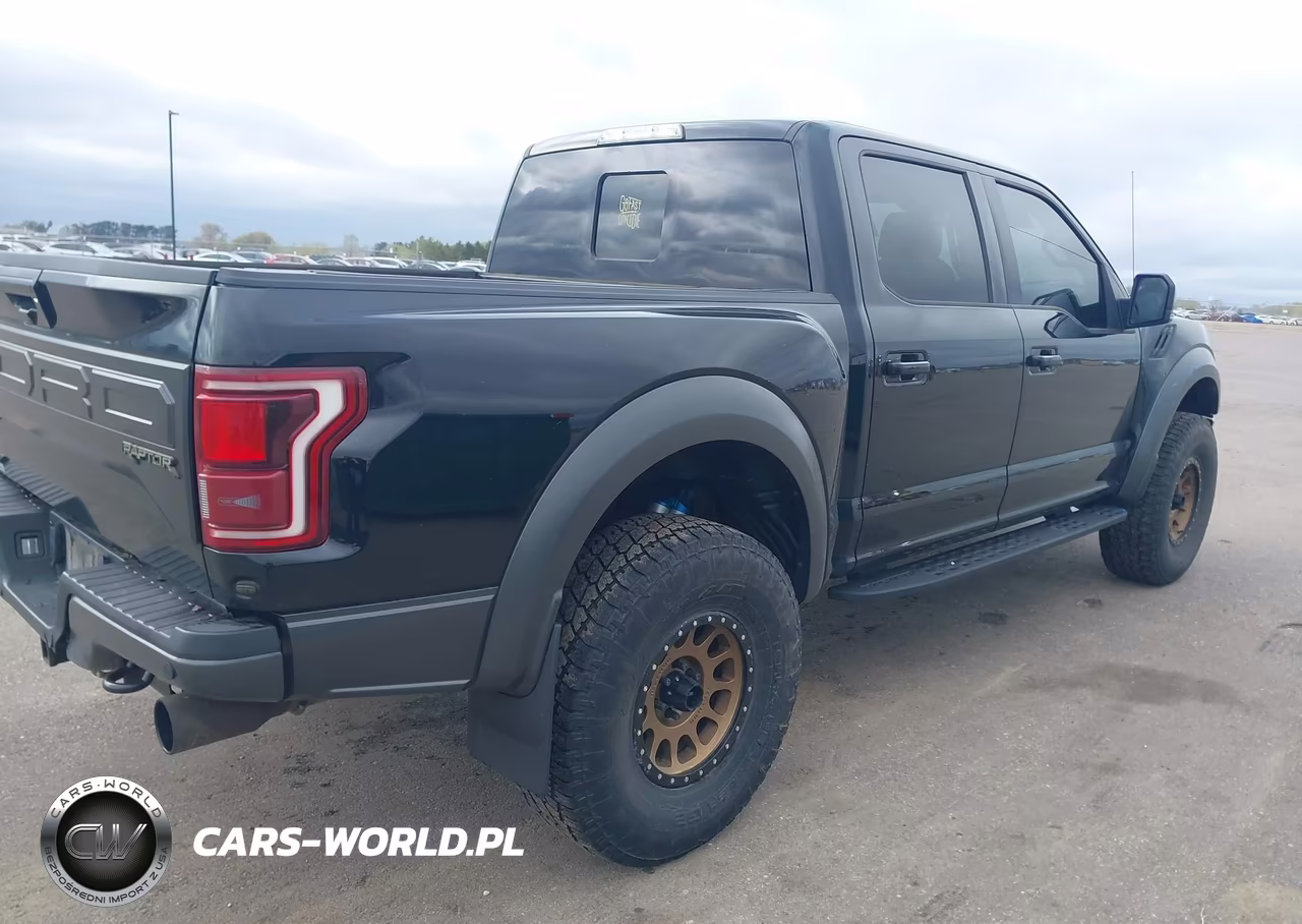2018 Ford F-150 Raptor VIN:1FTFW1RG1JFC45354 - 4