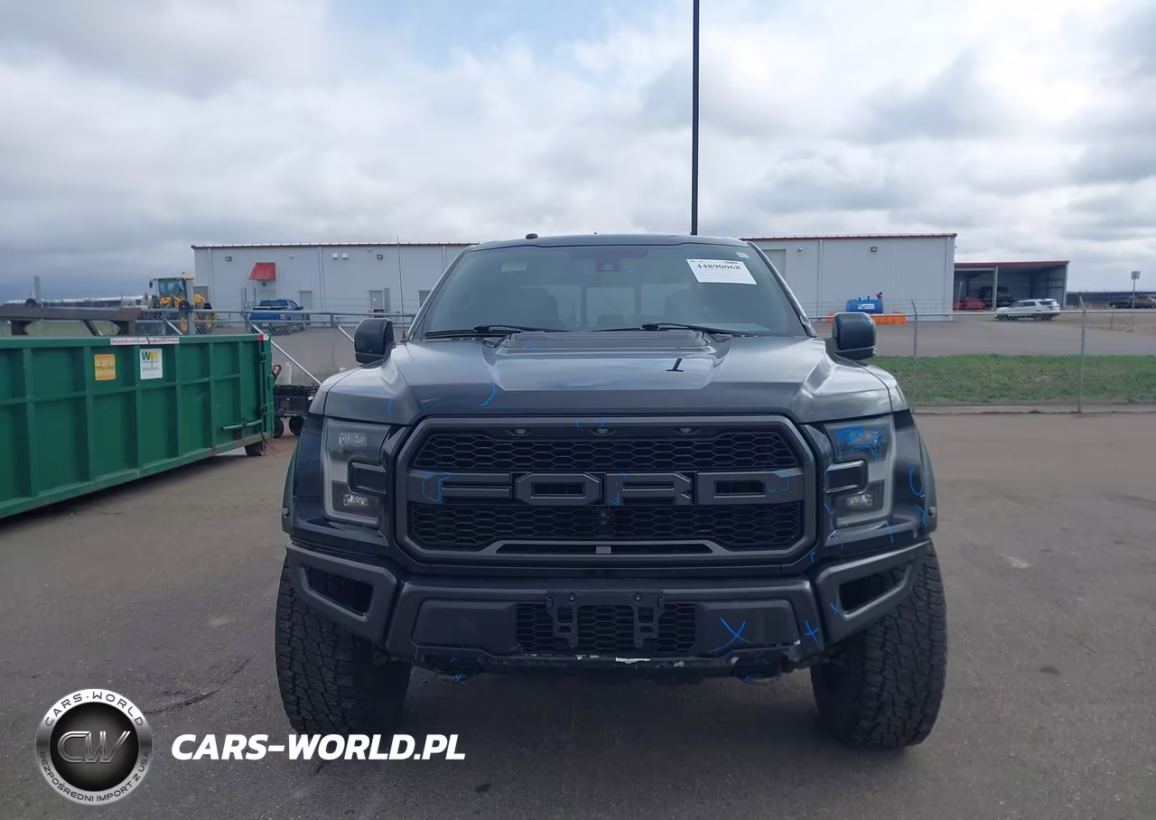 2018 Ford F-150 Raptor VIN:1FTFW1RG1JFC45354 - 6
