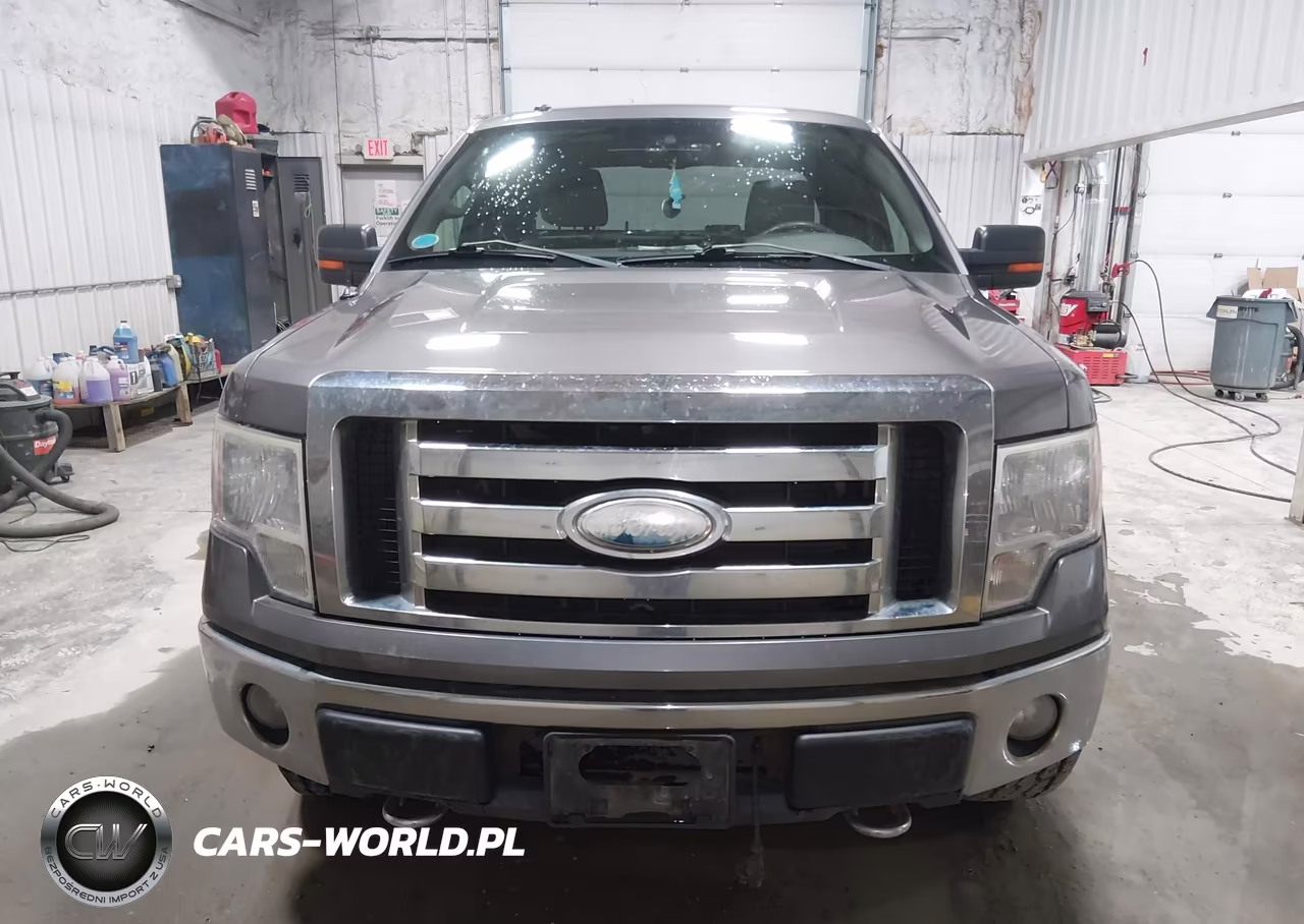 2009 Ford F-150 Fx4-Lariat-Xl-Xlt VIN:1FTPX14VX9FA51439 - 12