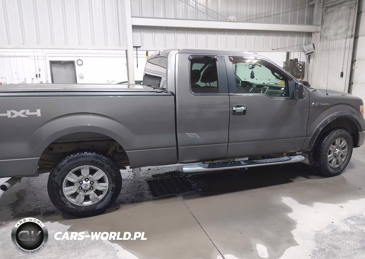 2009 Ford F-150 Fx4-Lariat-Xl-Xlt VIN:1FTPX14VX9FA51439 - 13