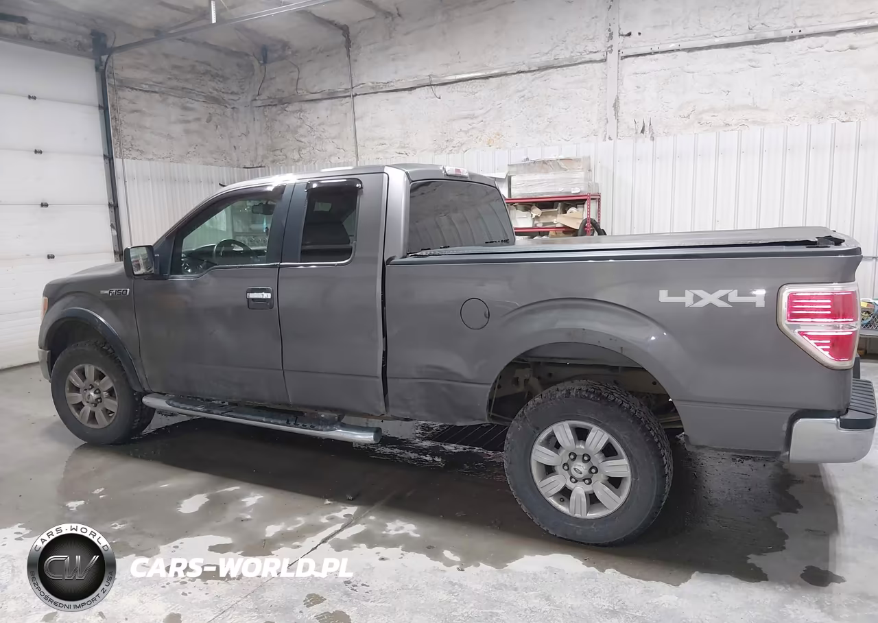 2009 Ford F-150 Fx4-Lariat-Xl-Xlt VIN:1FTPX14VX9FA51439 - 14