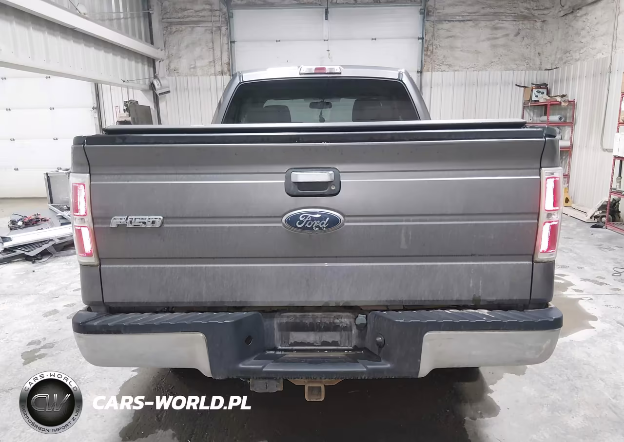 2009 Ford F-150 Fx4-Lariat-Xl-Xlt VIN:1FTPX14VX9FA51439 - 16