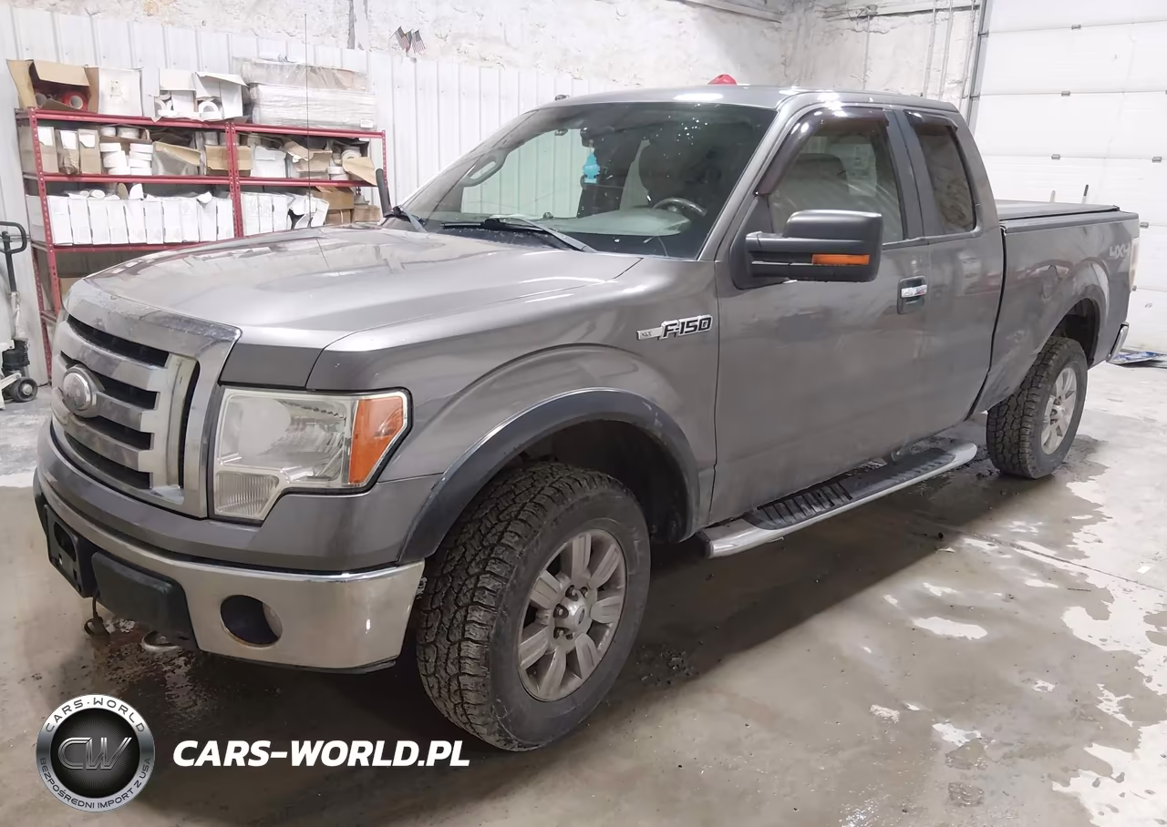 2009 Ford F-150 Fx4-Lariat-Xl-Xlt VIN:1FTPX14VX9FA51439 - 2