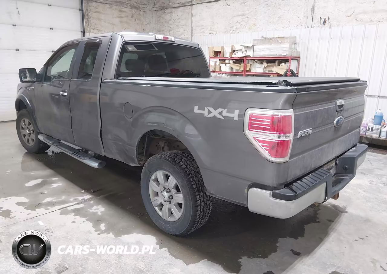 2009 Ford F-150 Fx4-Lariat-Xl-Xlt VIN:1FTPX14VX9FA51439 - 3