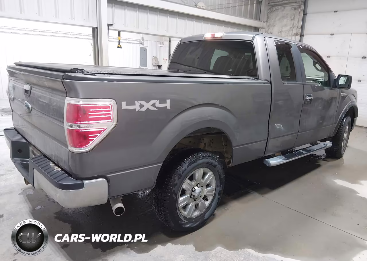 2009 Ford F-150 Fx4-Lariat-Xl-Xlt VIN:1FTPX14VX9FA51439 - 4