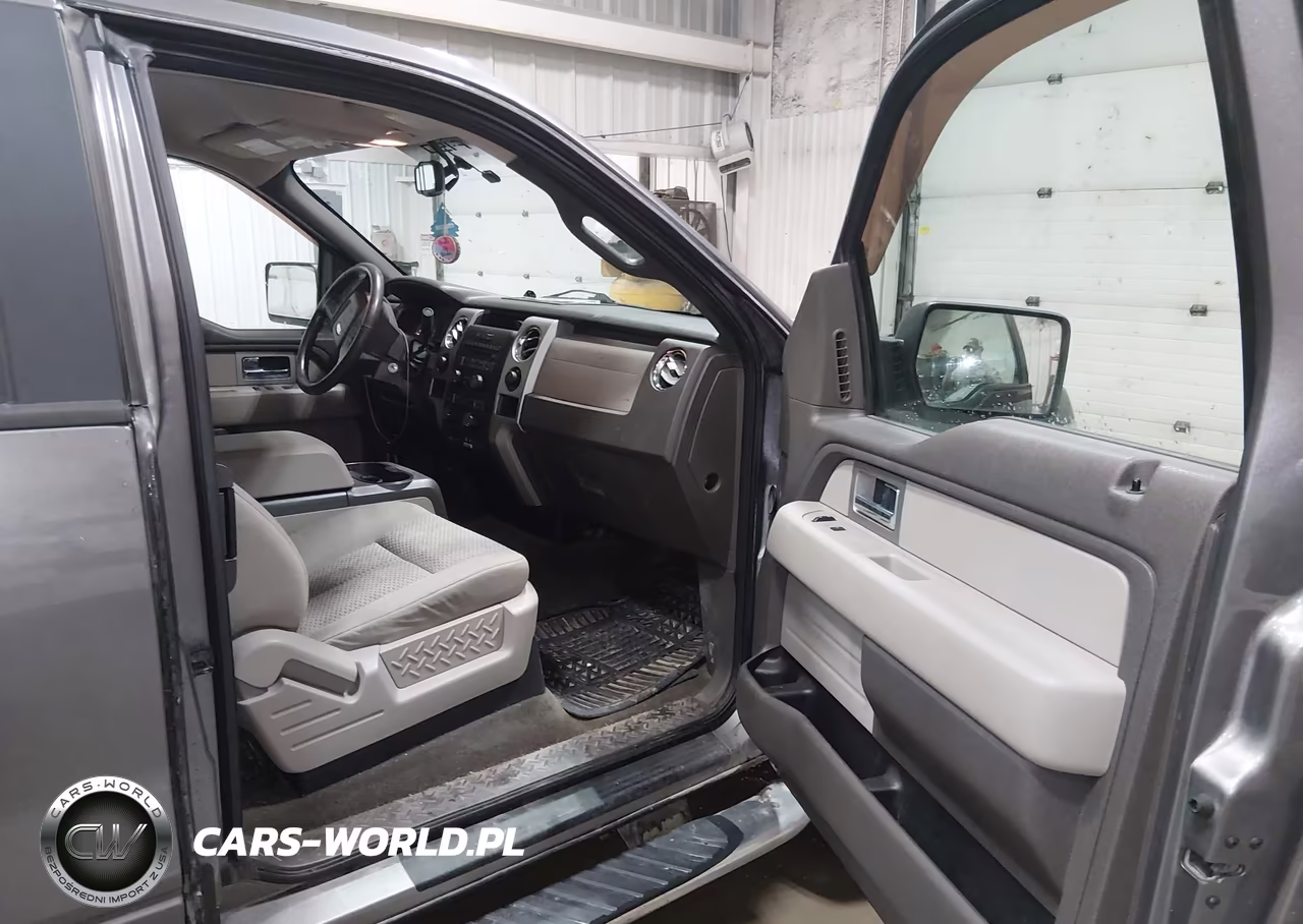 2009 Ford F-150 Fx4-Lariat-Xl-Xlt VIN:1FTPX14VX9FA51439 - 5