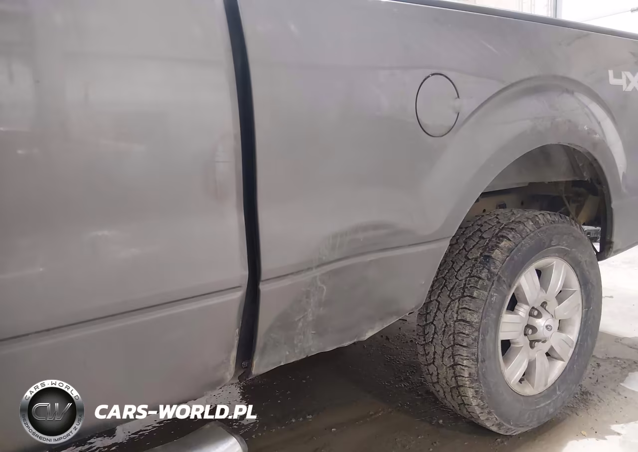2009 Ford F-150 Fx4-Lariat-Xl-Xlt VIN:1FTPX14VX9FA51439 - 6