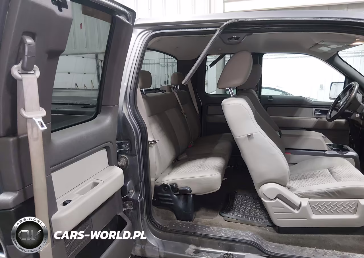 2009 Ford F-150 Fx4-Lariat-Xl-Xlt VIN:1FTPX14VX9FA51439 - 8