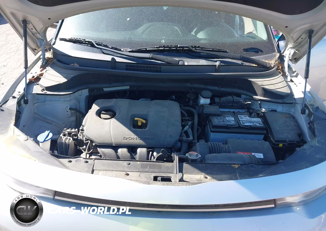 KIA SOUL LX VIN:KNDJ23AU5L7065603 - 10