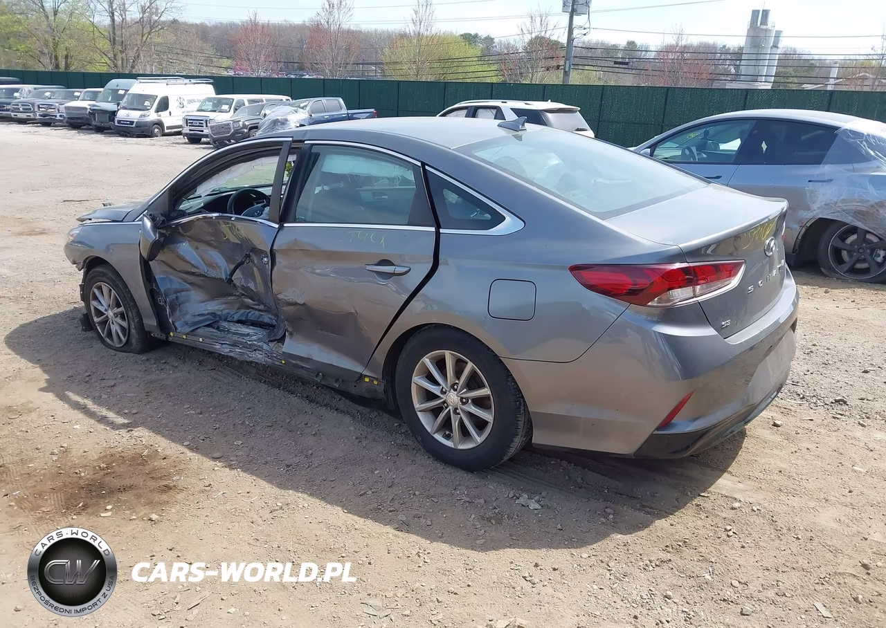 2019 Hyundai Sonata Se VIN:5NPE24AF4KH795652 - 3