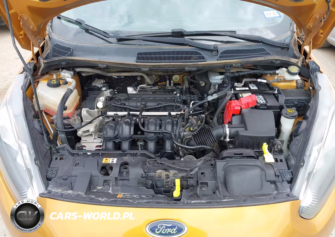 2016 Ford Fiesta Se VIN:3FADP4BJ0GM205261 - 10
