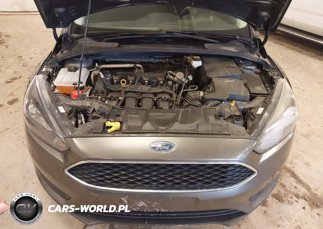 2018 Ford Focus Sel VIN:1FADP3H28JL208265 - 10