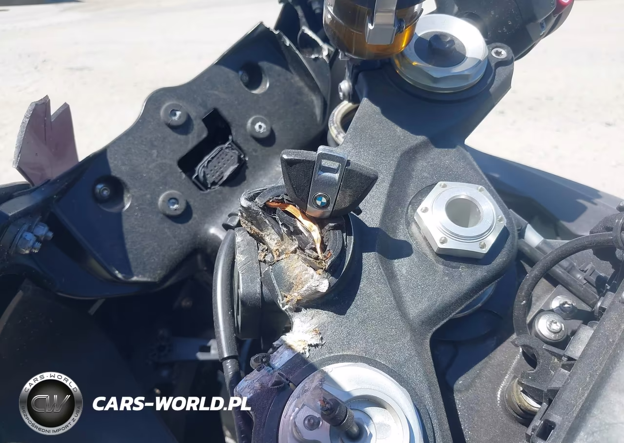 2024 BMW S 1000 Rr VIN:WB10E6301R6J81097 - 11