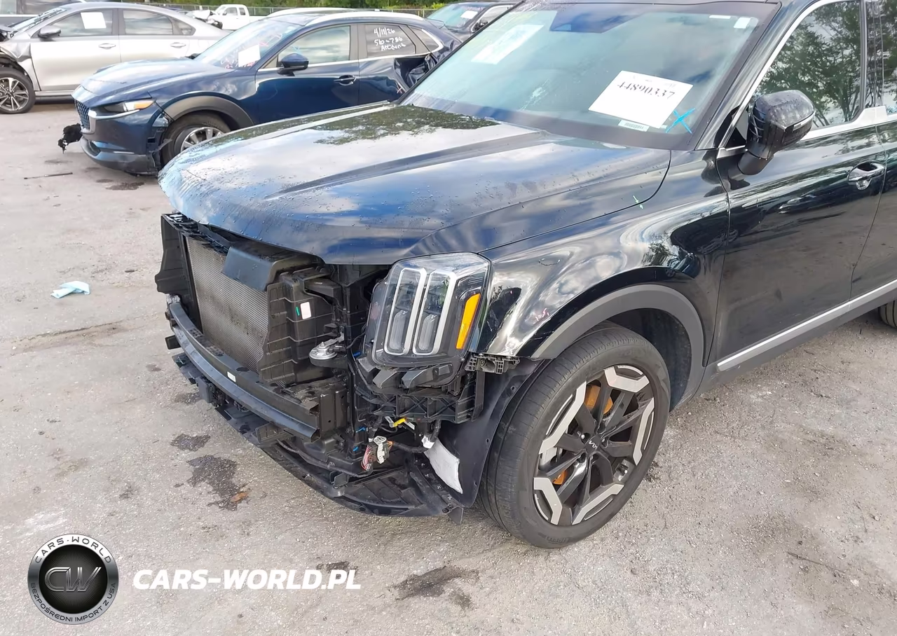 2023 Kia Telluride Ex VIN:5XYP34GC8PG350820 - 6